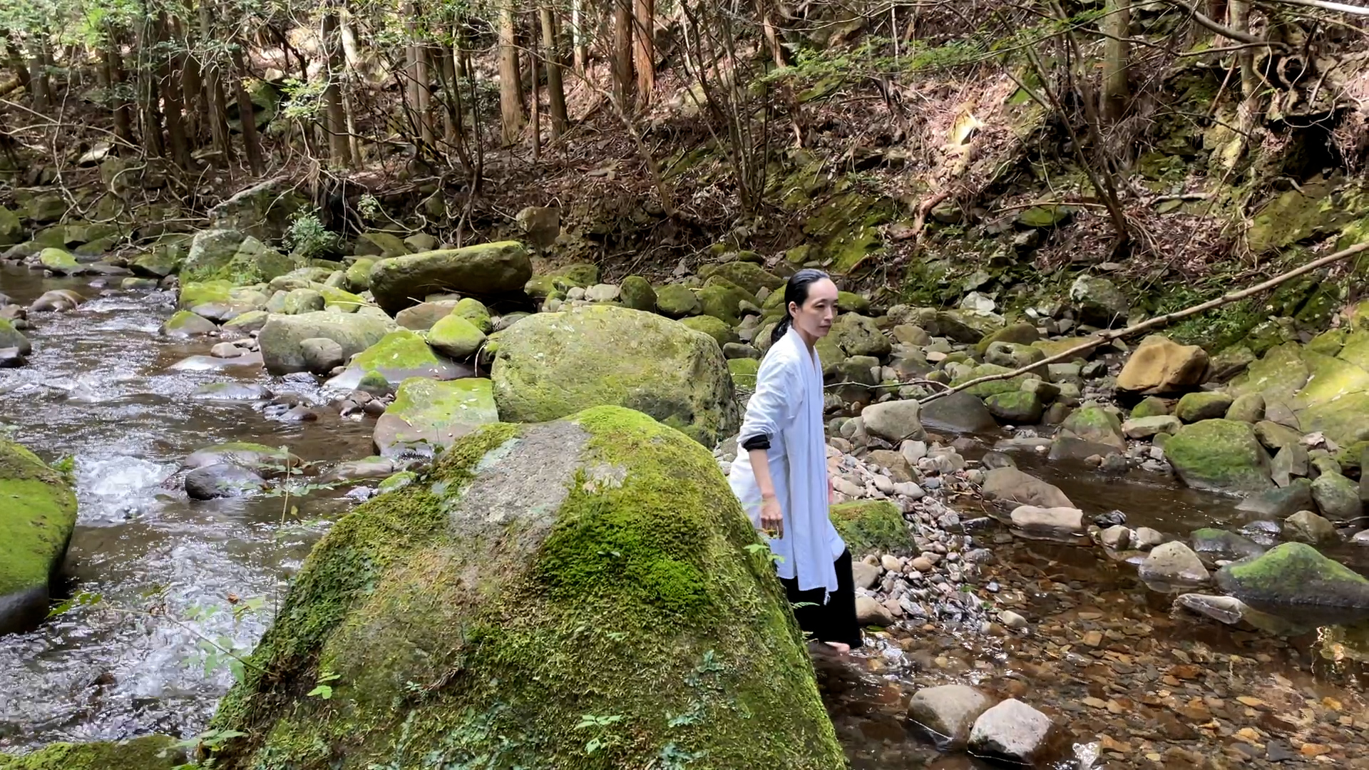 上演作品のノート